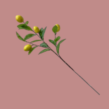 images/productimages/small/340.png