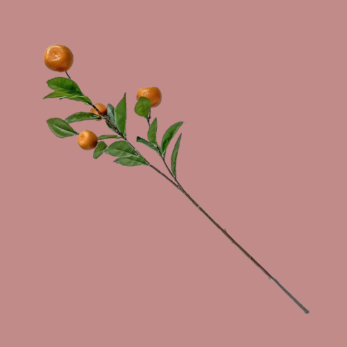 SILK BRANCH - ORANGE