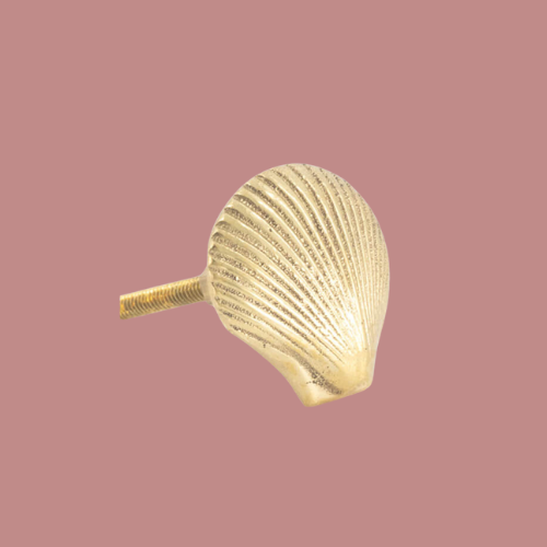 ABBY SHELL KNOB